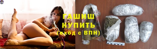 хмурый Алексин