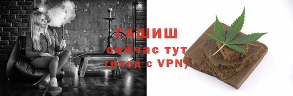 хмурый Алексин