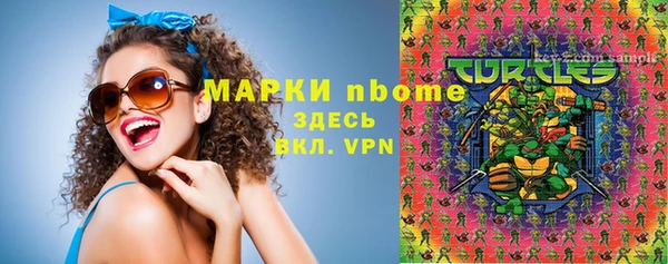 хмурый Алексин