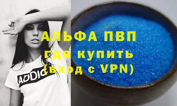 хмурый Алексин